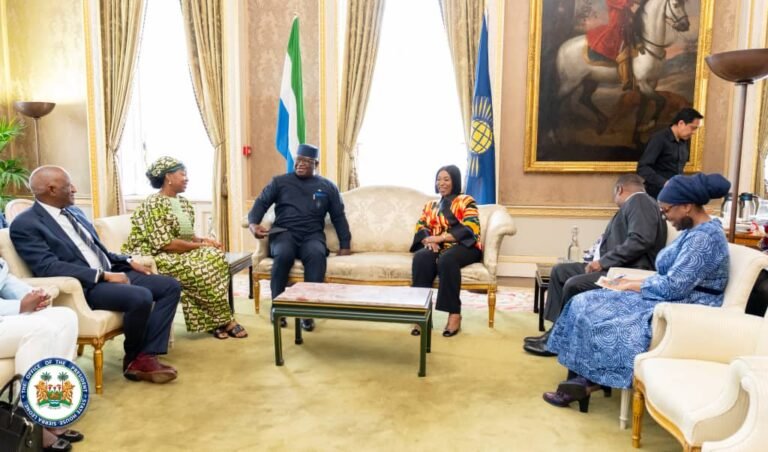 President Bio Calls for UN Security Council Reform