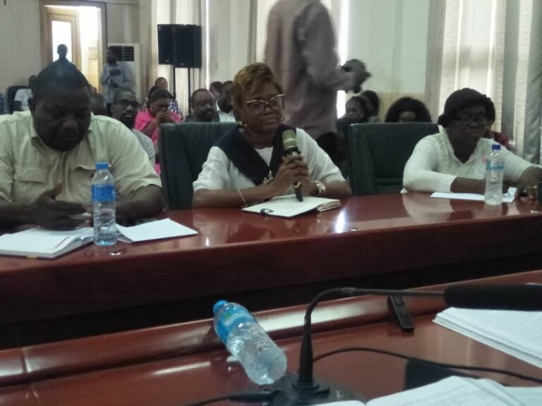 Over Financial Discrepancies… Ministry of Basic and Senior Secondary Education Faces PAC Scrutiny