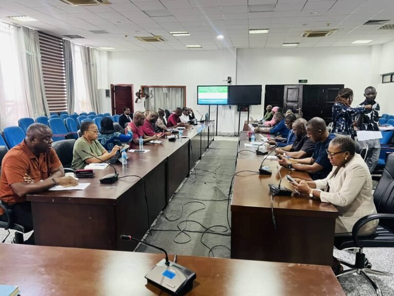 Ministry of Planning and Economic Development Gears Up for International Development Financing Conference