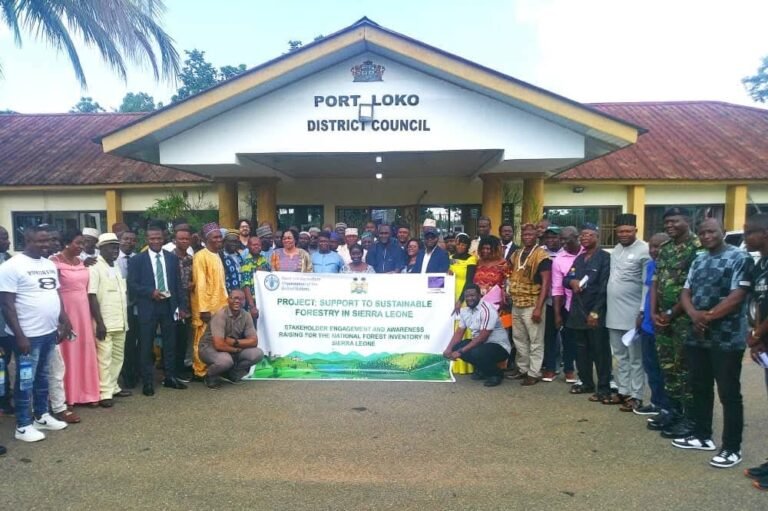 Ministry of Environment Launches National Forest Inventory