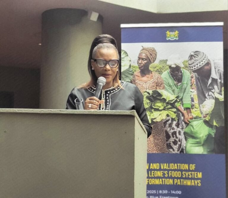 United Nations Resident Coordinator Hails Sierra Leone’s Strong Commitment to Food Systems