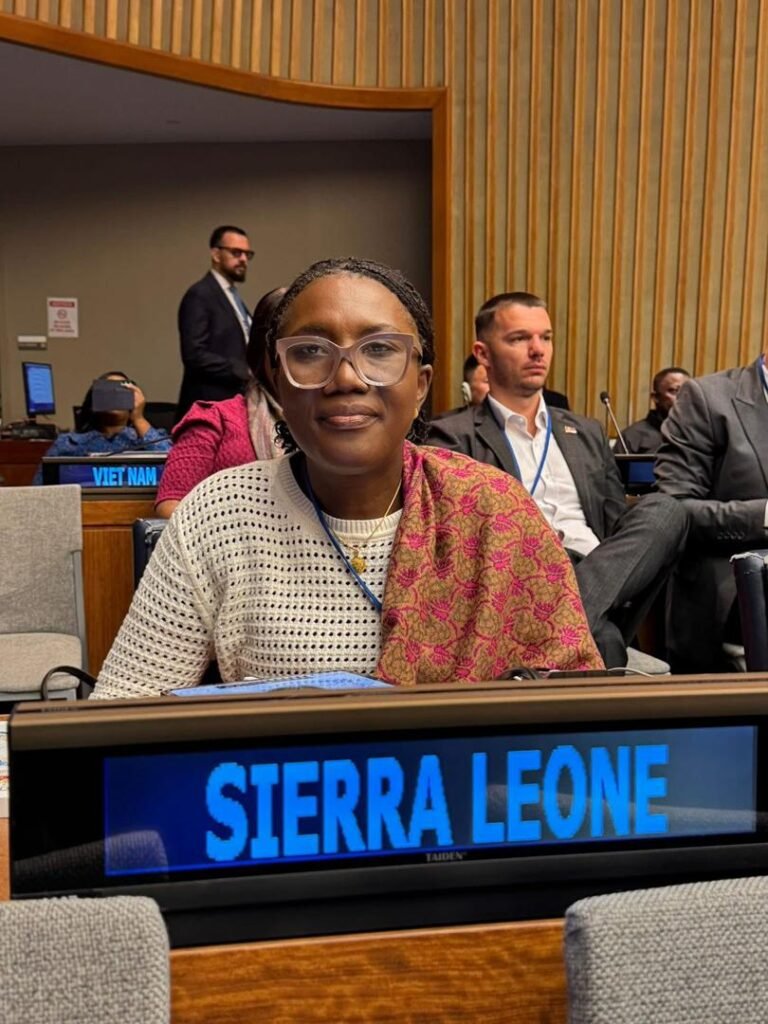 Deputy Minister of Finance Participates in High-Level Political Forum