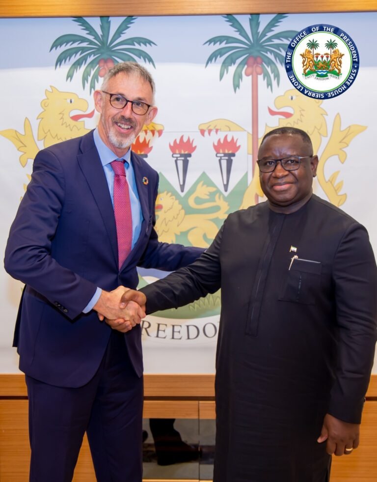 Irish Ambassador Bids Farewell to President Bio