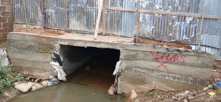 Diamonds and Gold Dealers Chairman Deny Responsibility for Flood Damage