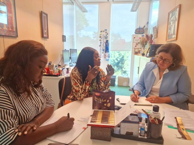 Strengthening Intellectual Property Systems… Deputy Justice Minister Engages WIPO Officials