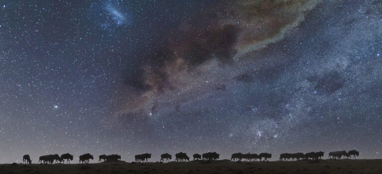 Kenya Ramps up Tourism Push as Wildebeest Migration Begins