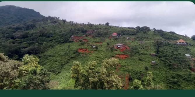 Tacugama Chimpanzee Sanctuary Faces Extinction Threat