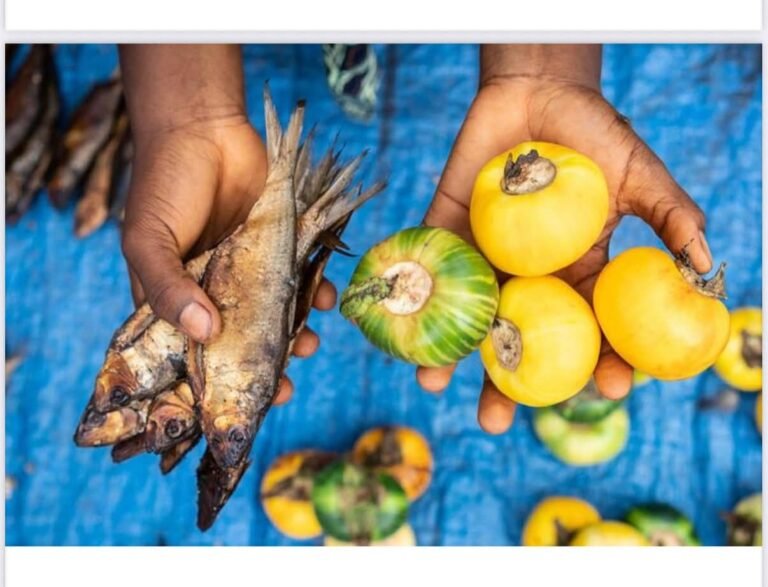 Food Prices Drop Nationwide…  United Nations Report Highlights Impact of Feed Salone Initiative