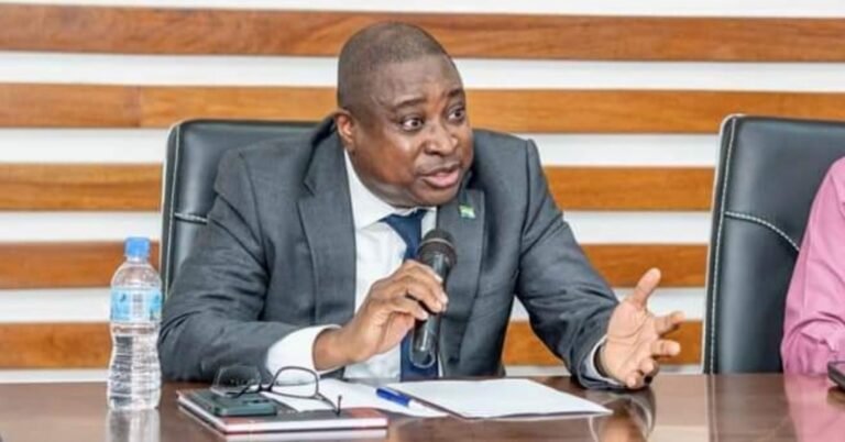 Salone Payment Switch Accelerates Digital Economy