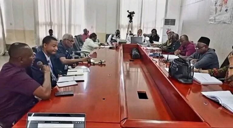 Public Accounts Committee Probes Financial Mismanagement in Energy Sector