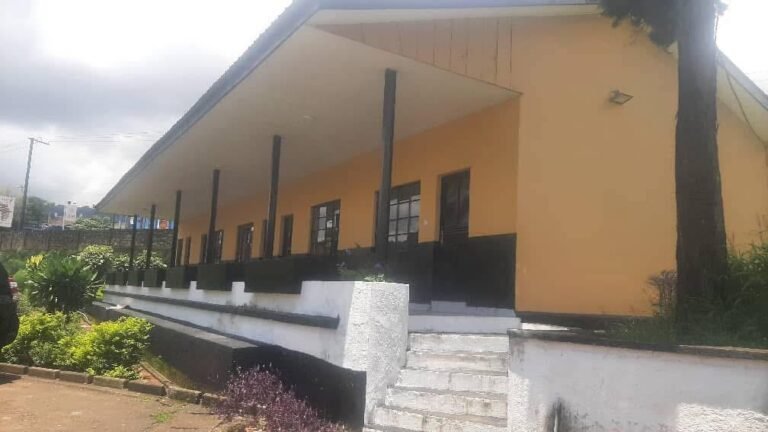 Milton Margai University Students Suffer Amidst Alleged $65 Million Scandal