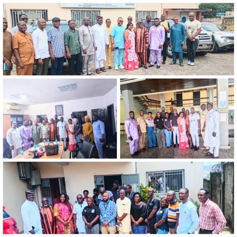 Parliamentary Committee on Communications Confronts Challenges in Digital and Tech Sector