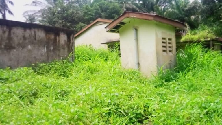 Rokuprr’s Forgotten Lifeline: A Call to Restore Access to Clean Water