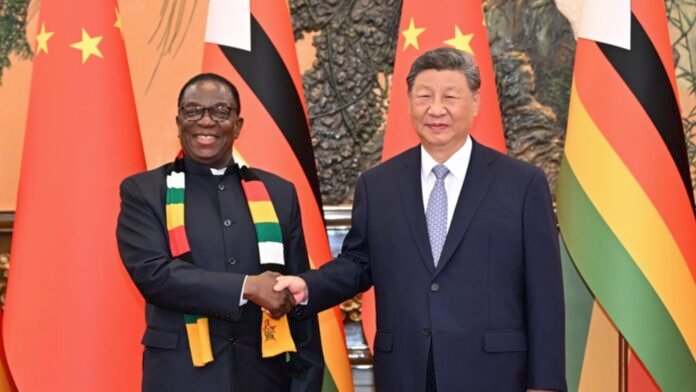CHINA ZIMBAWE