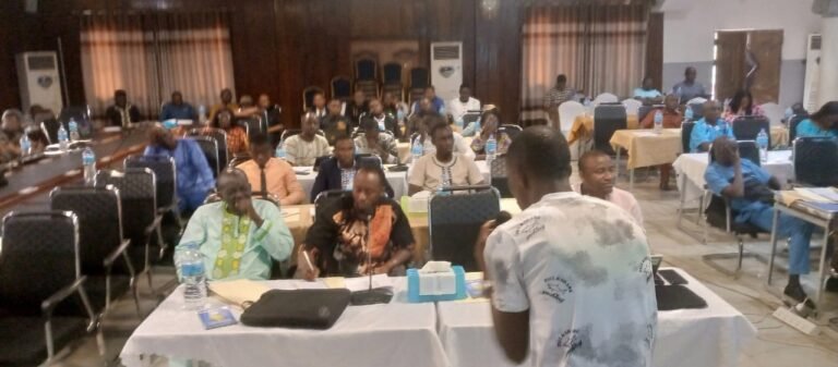 Ministry of Agriculture and Food Security Trains New Accountants to Strengthen Financial Oversight for Feed Salone Initiative
