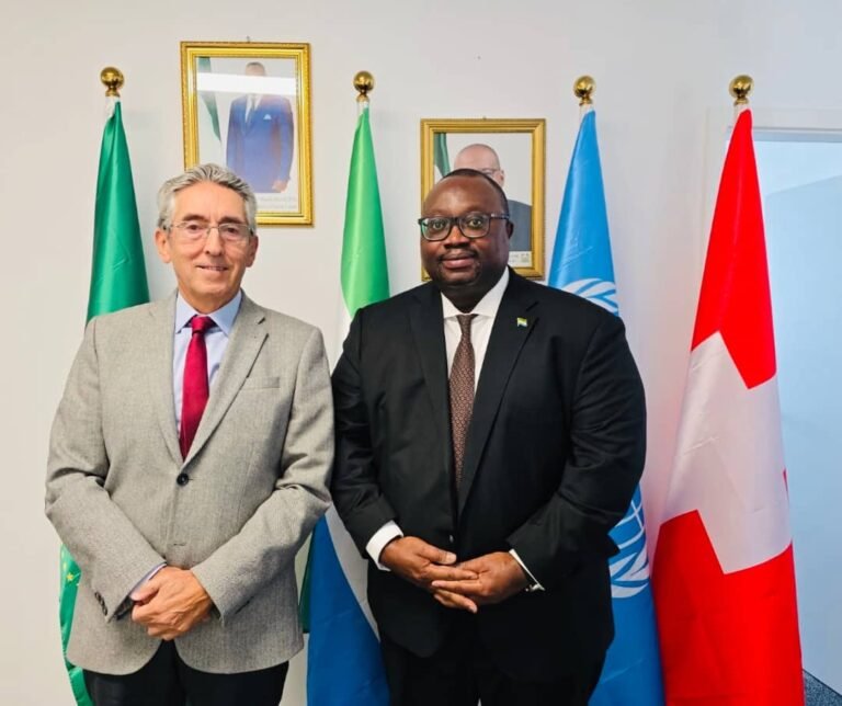 South Centre Executive Director Strengthens Ties with Sierra Leone