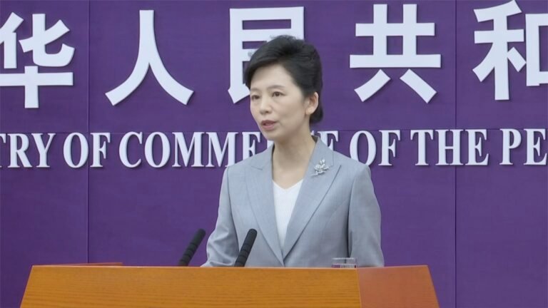 China to Optimize Rare Earths Export Controls, Facilitate Legitimate Trade: Commerce Ministry