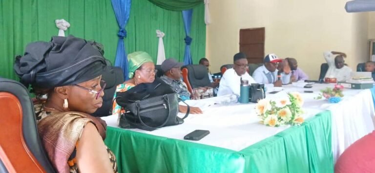 Members of Parliament and Chamber of Mines Call for Policy Clarity in Sierra Leone’s Mining Sector