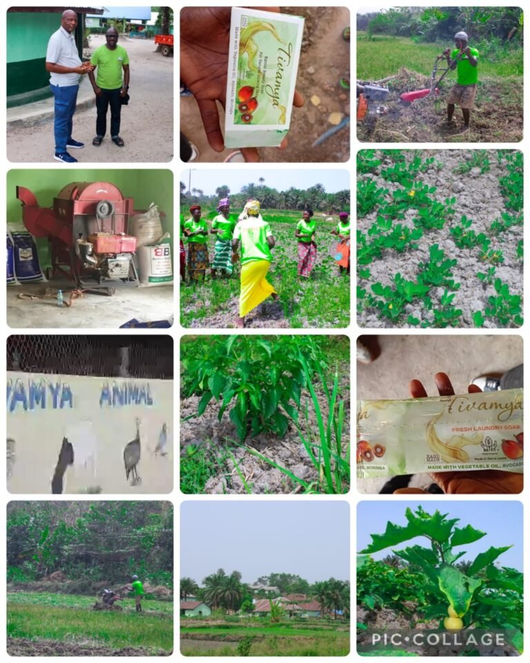 Empowering Women and Youth… Tivamiya Limited Showcases Integrated Agribusiness Model