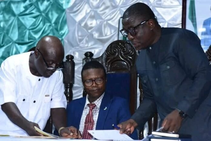 WhatsApp Image 2026-02-25 at 15.45.37