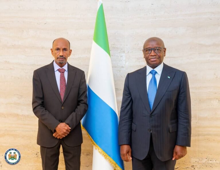 President Bio Meets AfDB Executive Director to Review Economic Progress