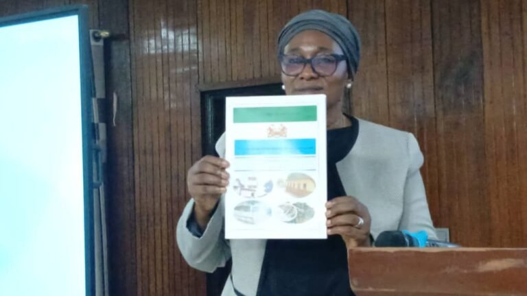 Water Resources Minister Launches 2026-2035 National Wash Sector Strategic Plan