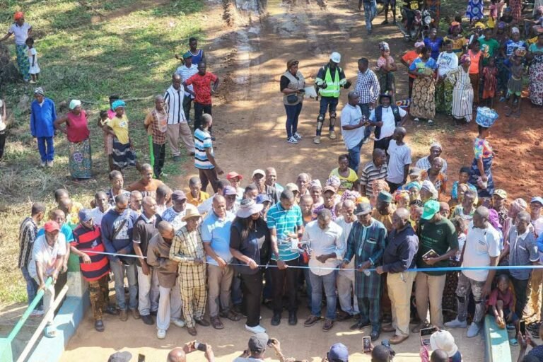 Feed Salone Connects Farming Communities in Kailahun