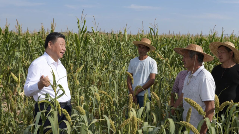 How Xi Jinping’s Early Rural Years Shaped a Lasting Pledge to Improve Lives