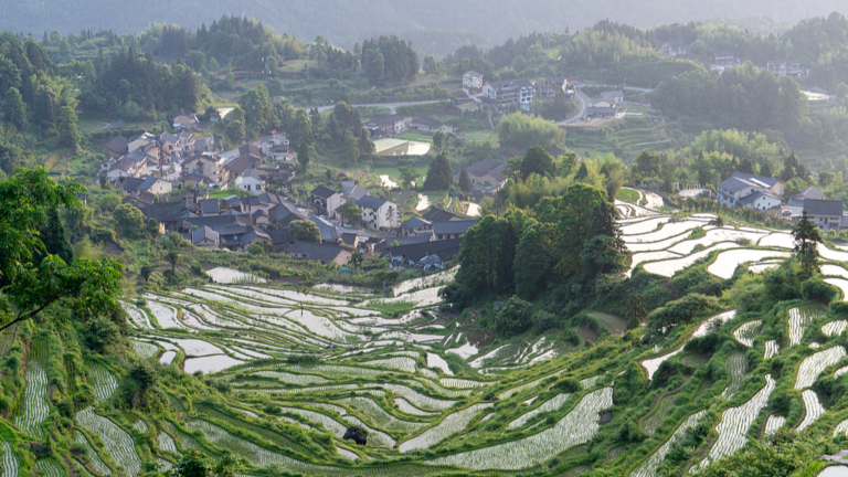 Five Years on: How Zhejiang is Turning the ‘Green Rural Revival Program’ into Common Prosperity